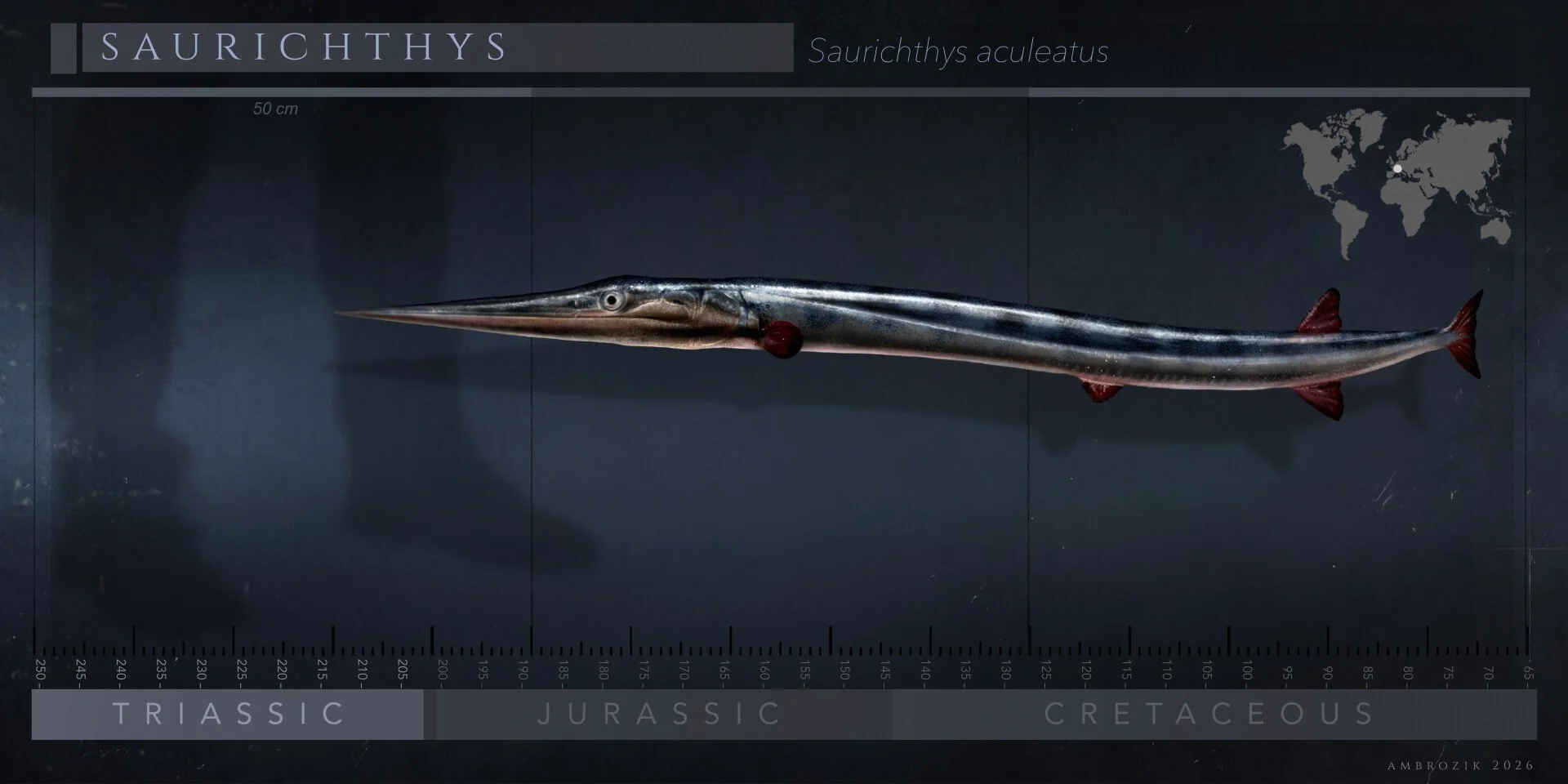 Saurichthys aculeatus reconstruction - author Marcin Ambrozik - https://www.marcin-ambrozik.com/